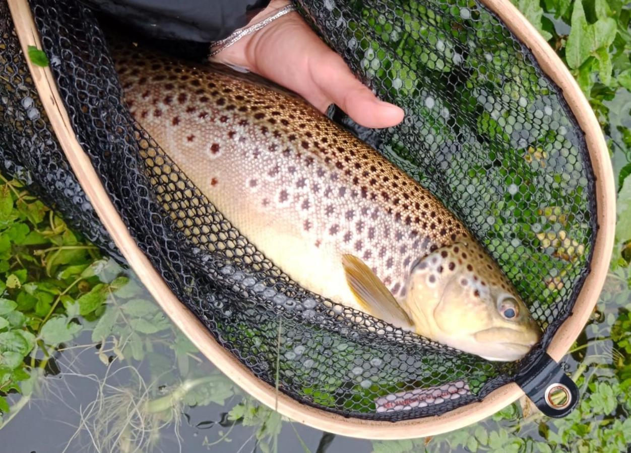 Casa Pesca Vera Senegüé Zewnętrze zdjęcie